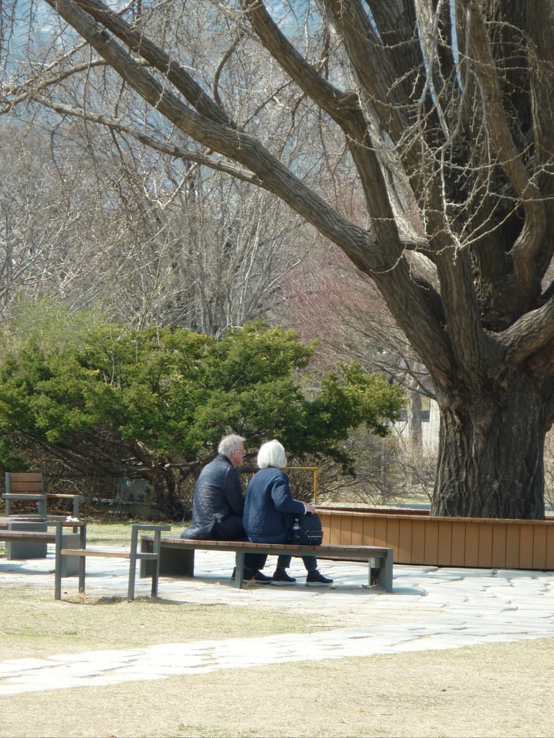 파나소닉 루믹스 DMC-TZ3 빈티지디카 디지털카메라 상품이미지2