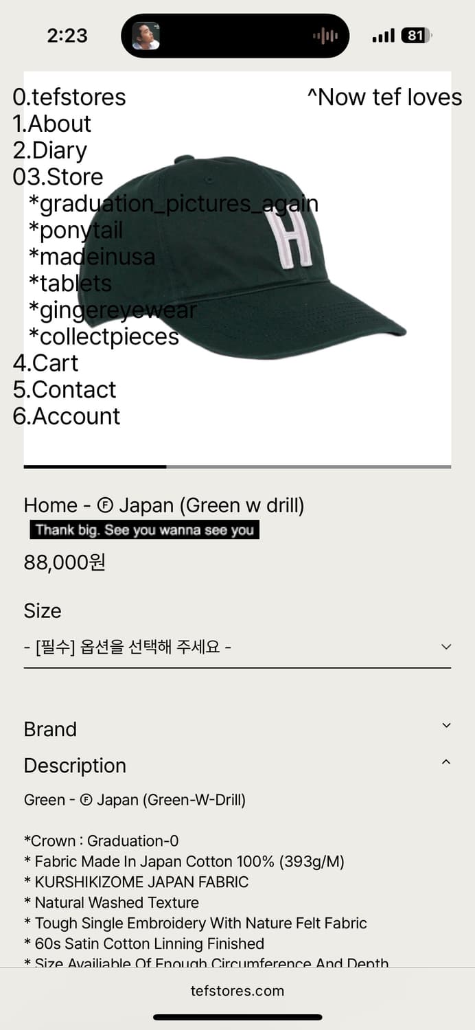 테프스토어즈 홈 Japan 캡 (L 그린) 상품이미지1