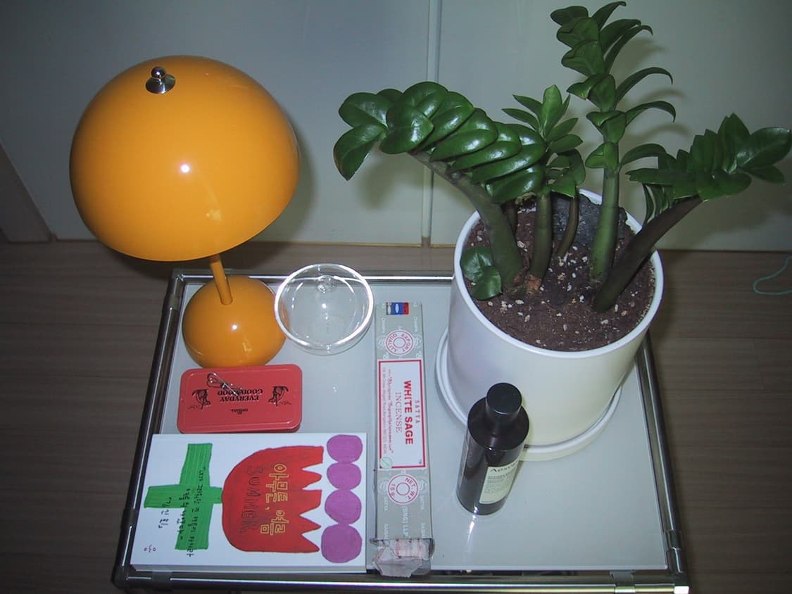 초창기 희귀템) CANON ixy Digital 2000 빈티지 디카 상품이미지6