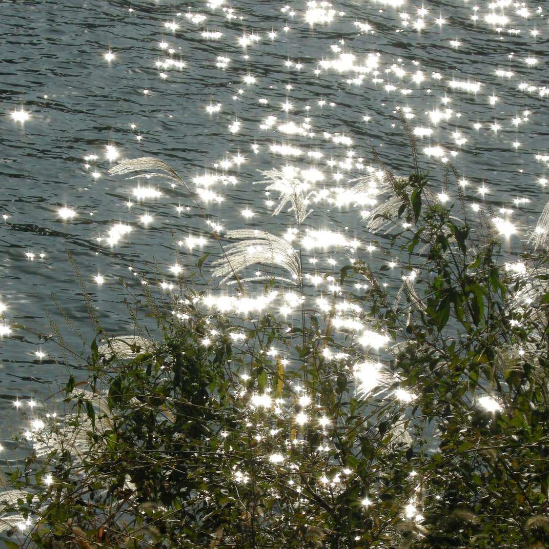 니콘 coolpix P5000 (작례O) 상품이미지3