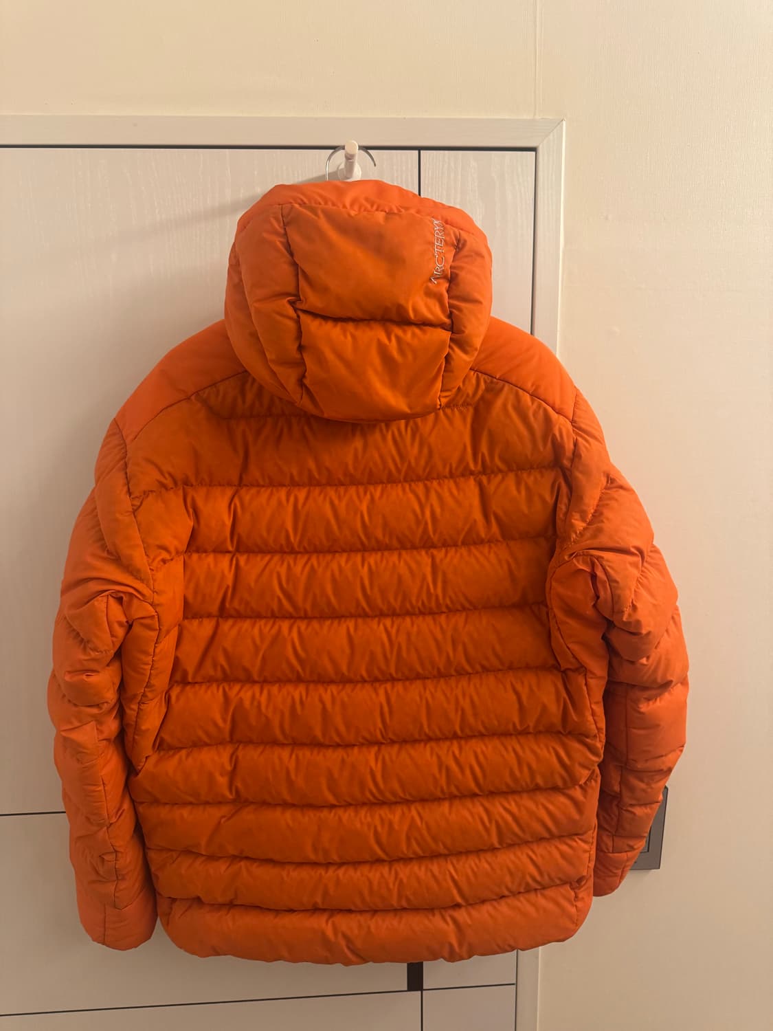 아크테릭스 토륨 후디 페놈 L 상품이미지4