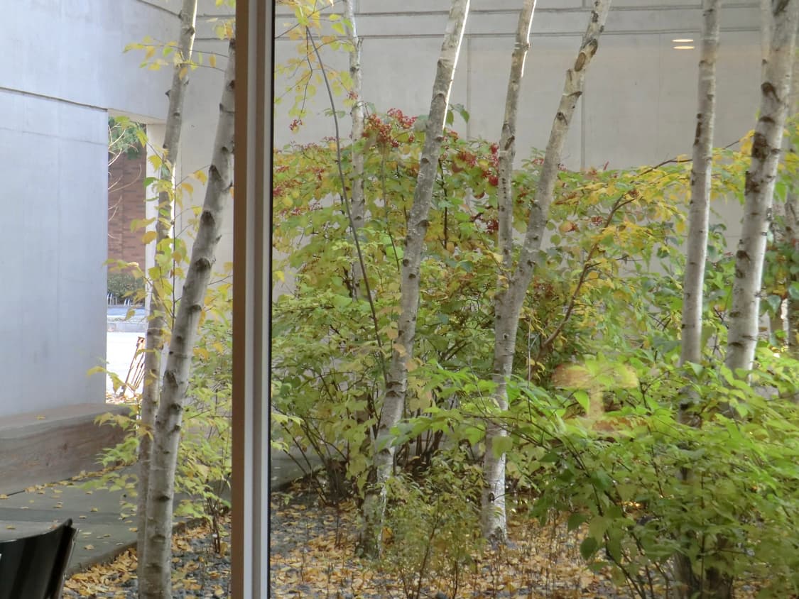 카시오 엑슬림 casio exilim h5 빈디지 디카 상품이미지9