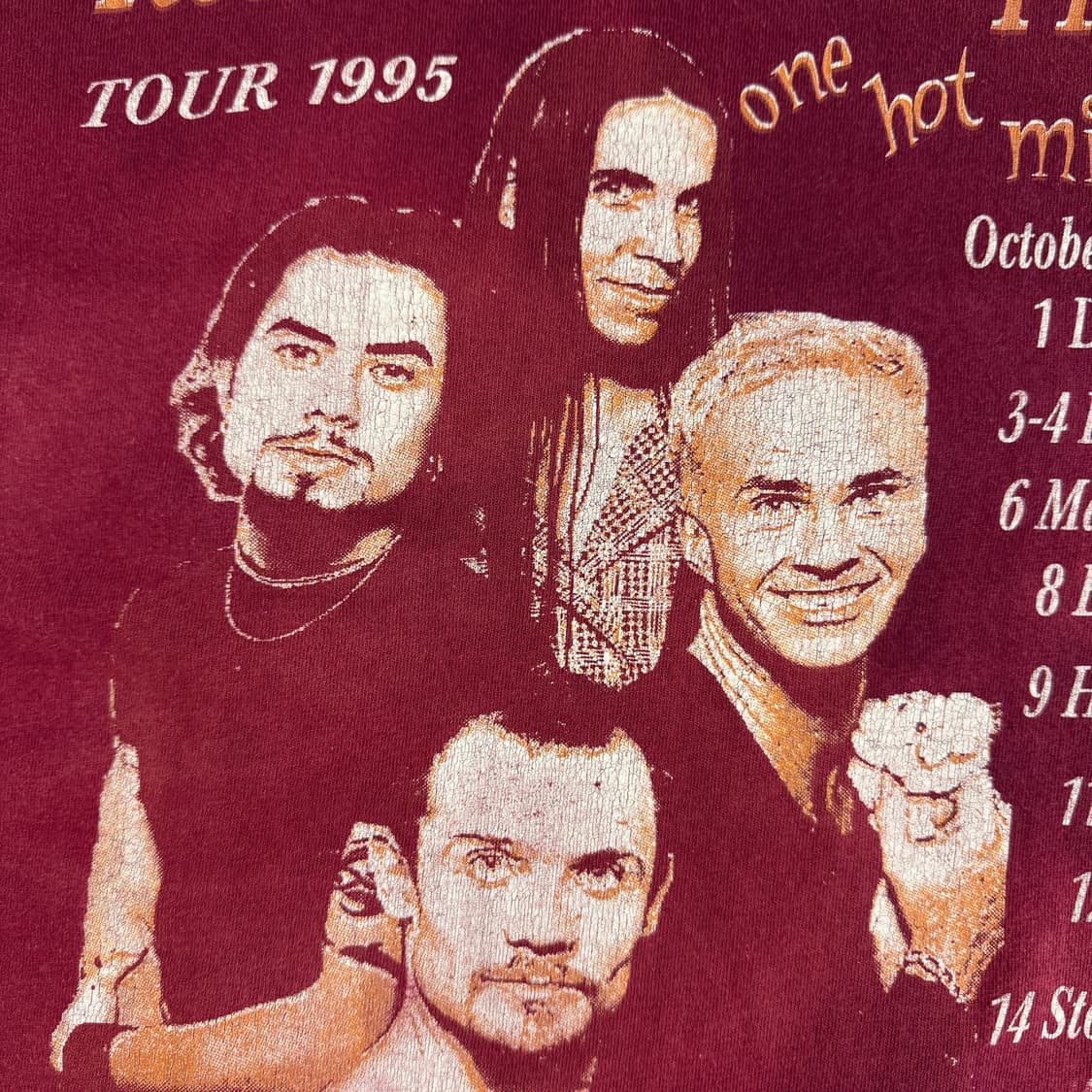 빈티지 90s 레드핫칠리페퍼스 원핫미닛 롱슬리브 RHCP 상품이미지7