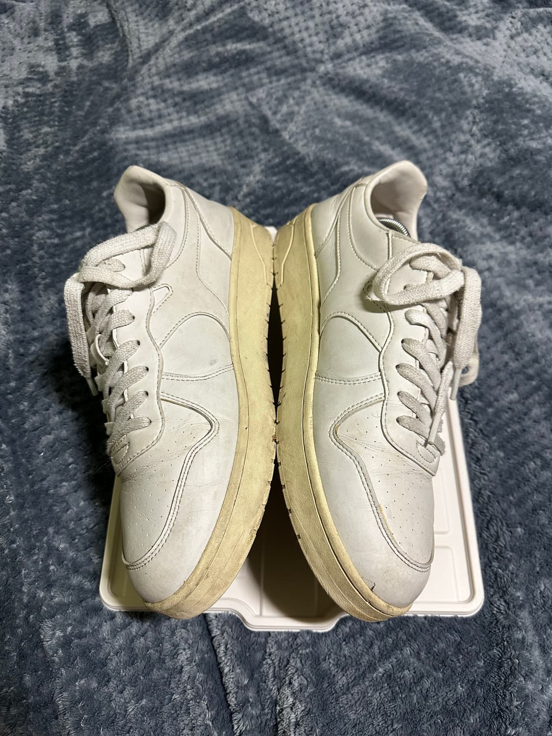 (280)포즈간츠 매치 스니커즈 상품이미지2