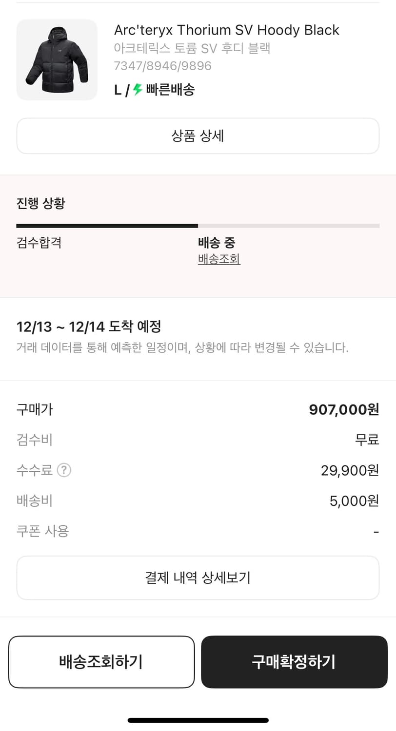 아크테릭스 토륨 SV후디 블랙 상품이미지2