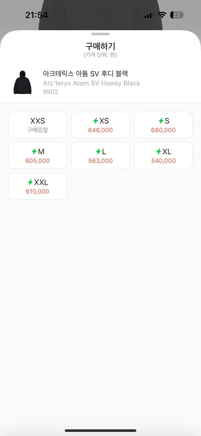 아크테릭스 아톰sv 후디 남성 상품이미지2