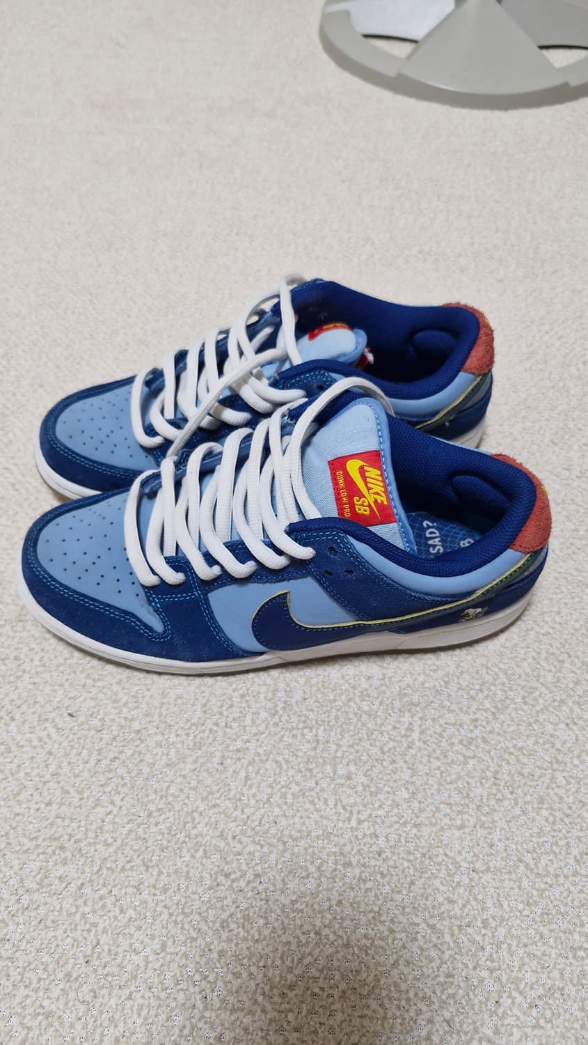 나이키 SB 덩크 로우 프로 블루 260 why not so sad 상품이미지2