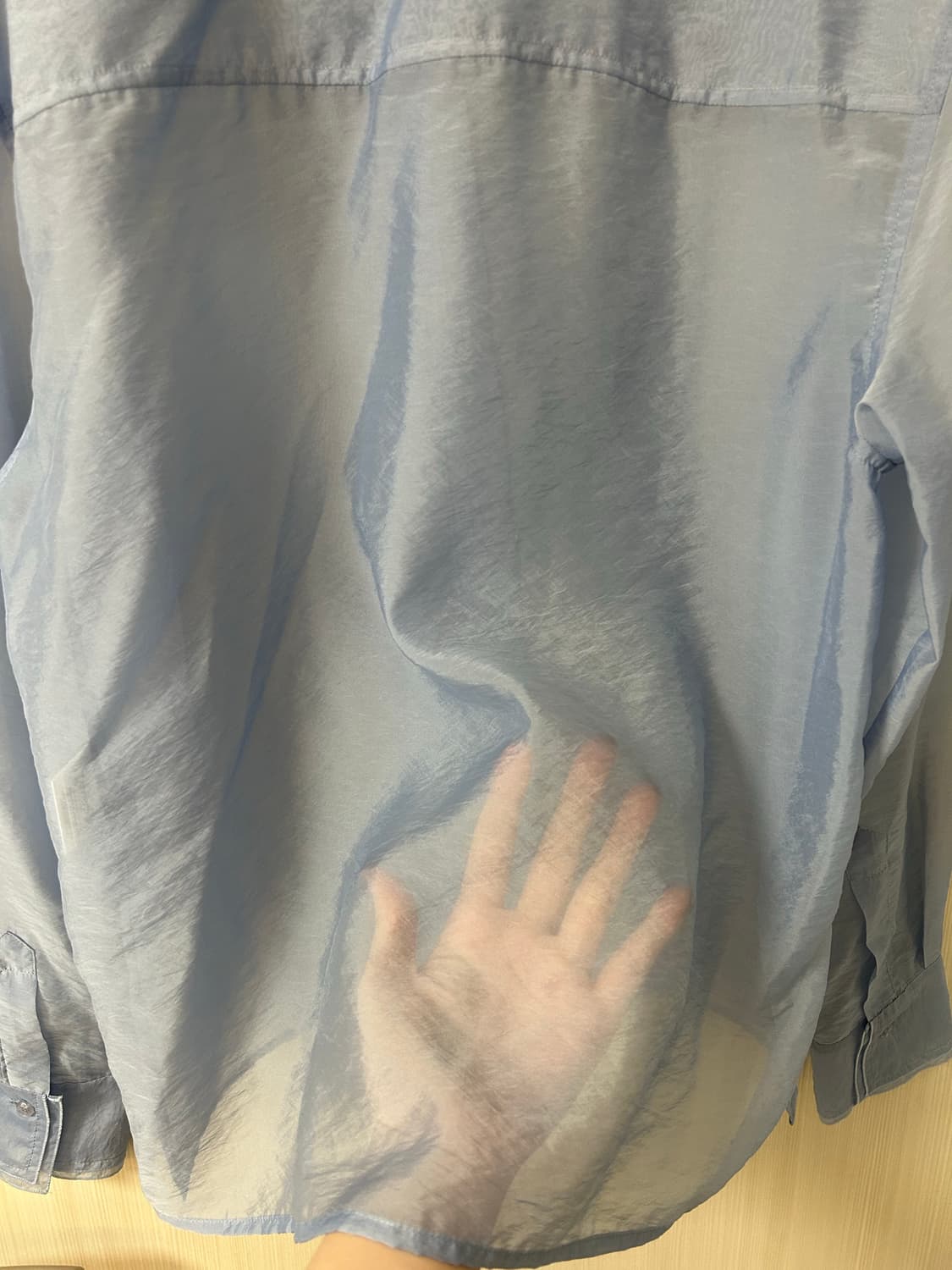 더일마 시스루 오간자 블라우스 | 새상품 상품이미지3