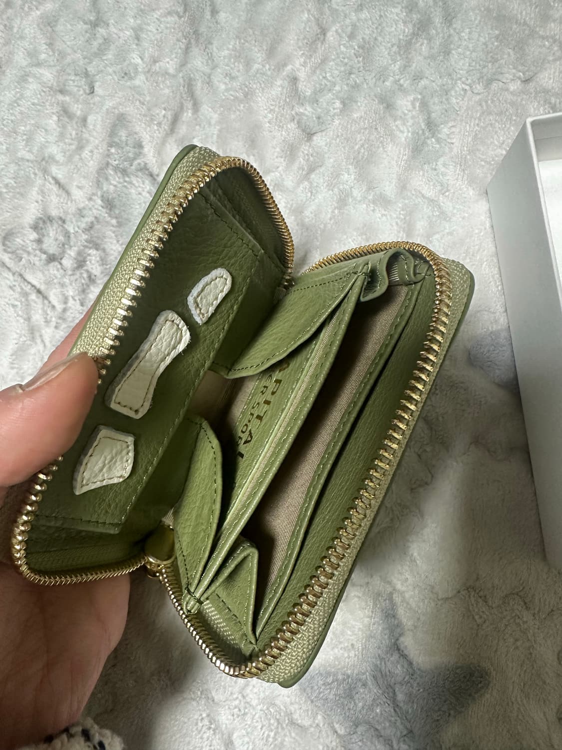 캐피탈 / 떰즈 업 본 핸드 집 미니 월렛 / 올리브 상품이미지4