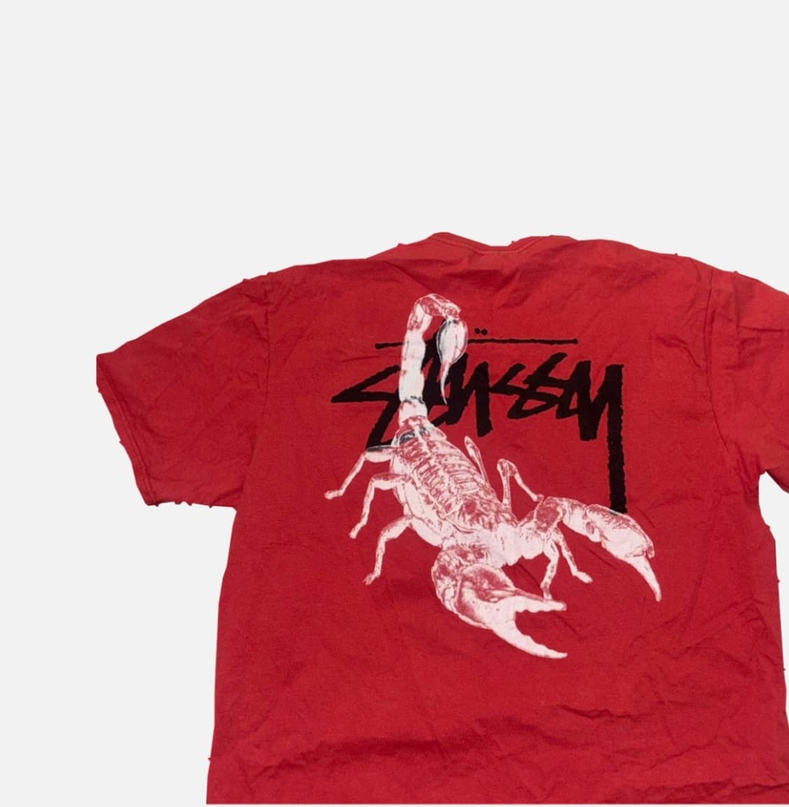 스투시 스콜피온 티셔츠 페퍼 상품이미지2