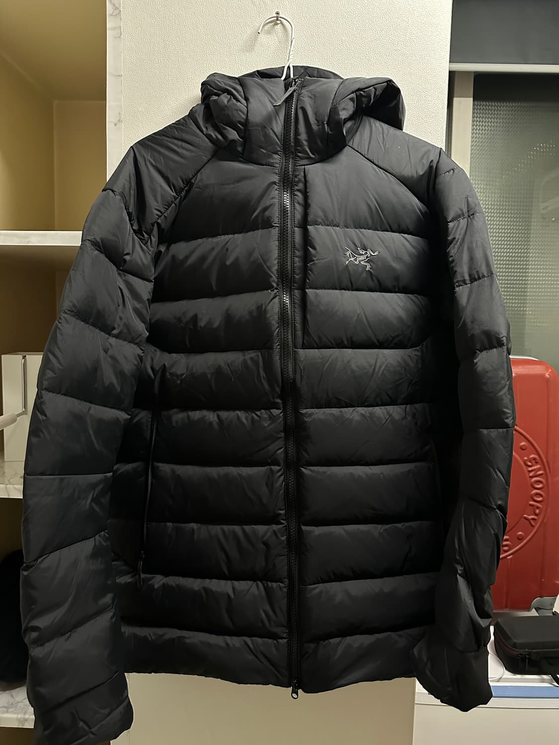 아크테릭스 토륨 후디 L 상품이미지1