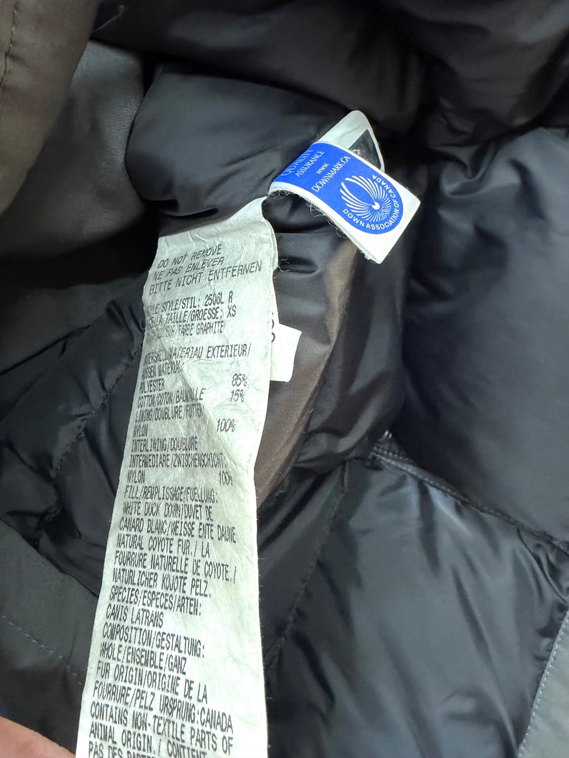 XS/ 캐나다구스 켄싱턴 다운 퍼 패딩점퍼 상품이미지9