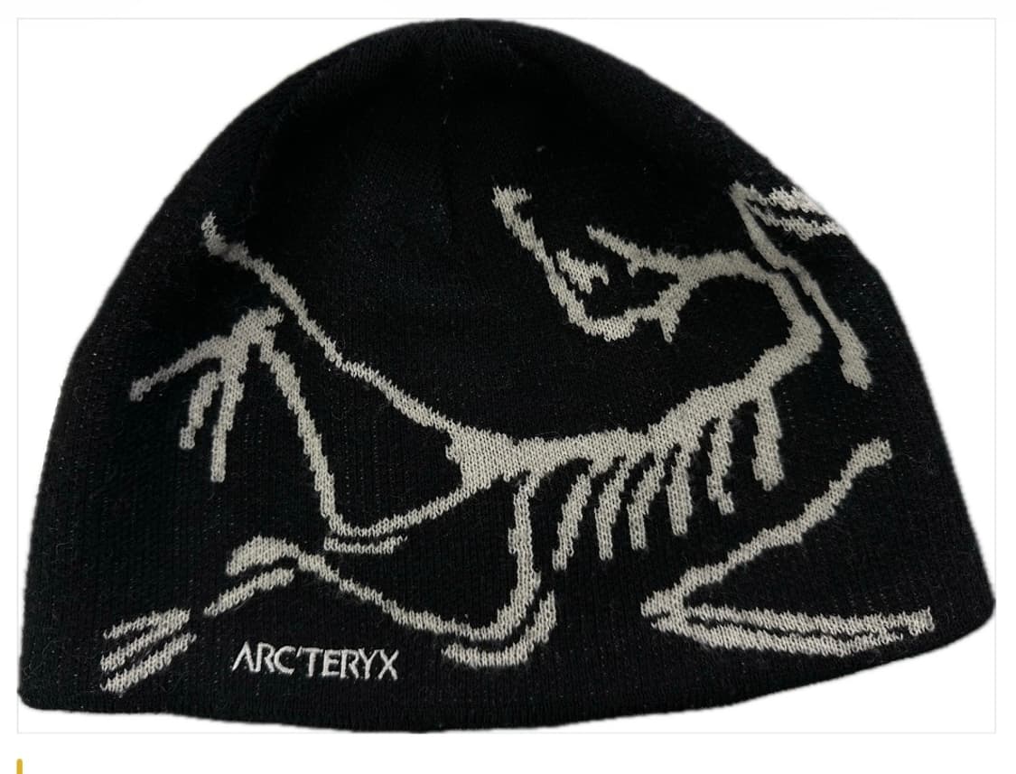 아크테릭스 비니 오르카 상품이미지1