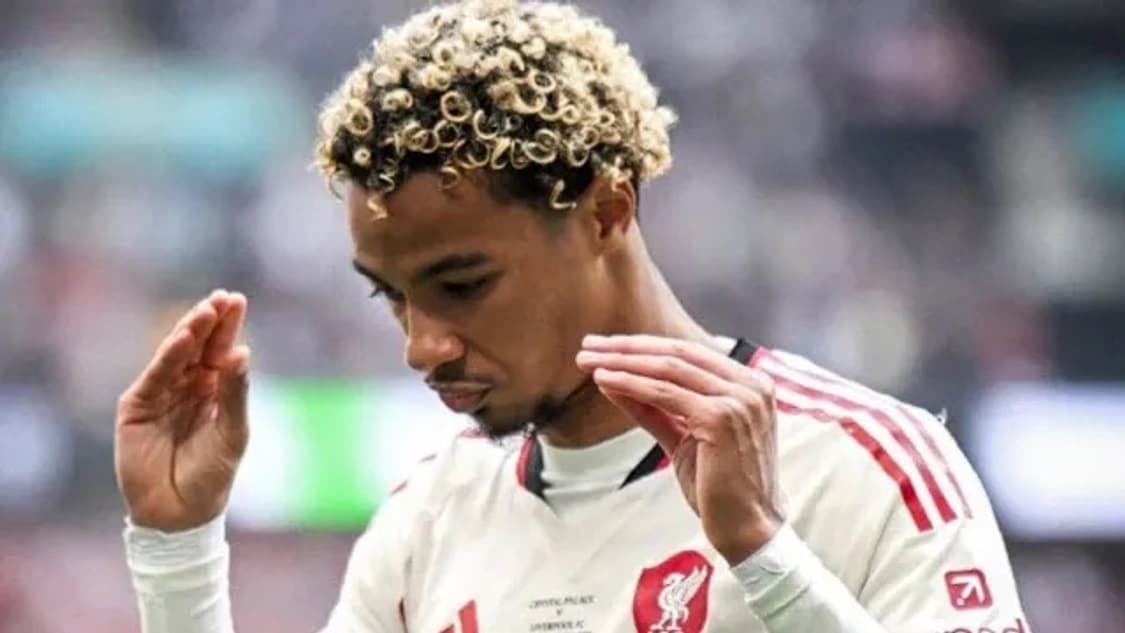 25-26 리버풀 어웨이 긴팔 #22 에키티케 상품이미지6