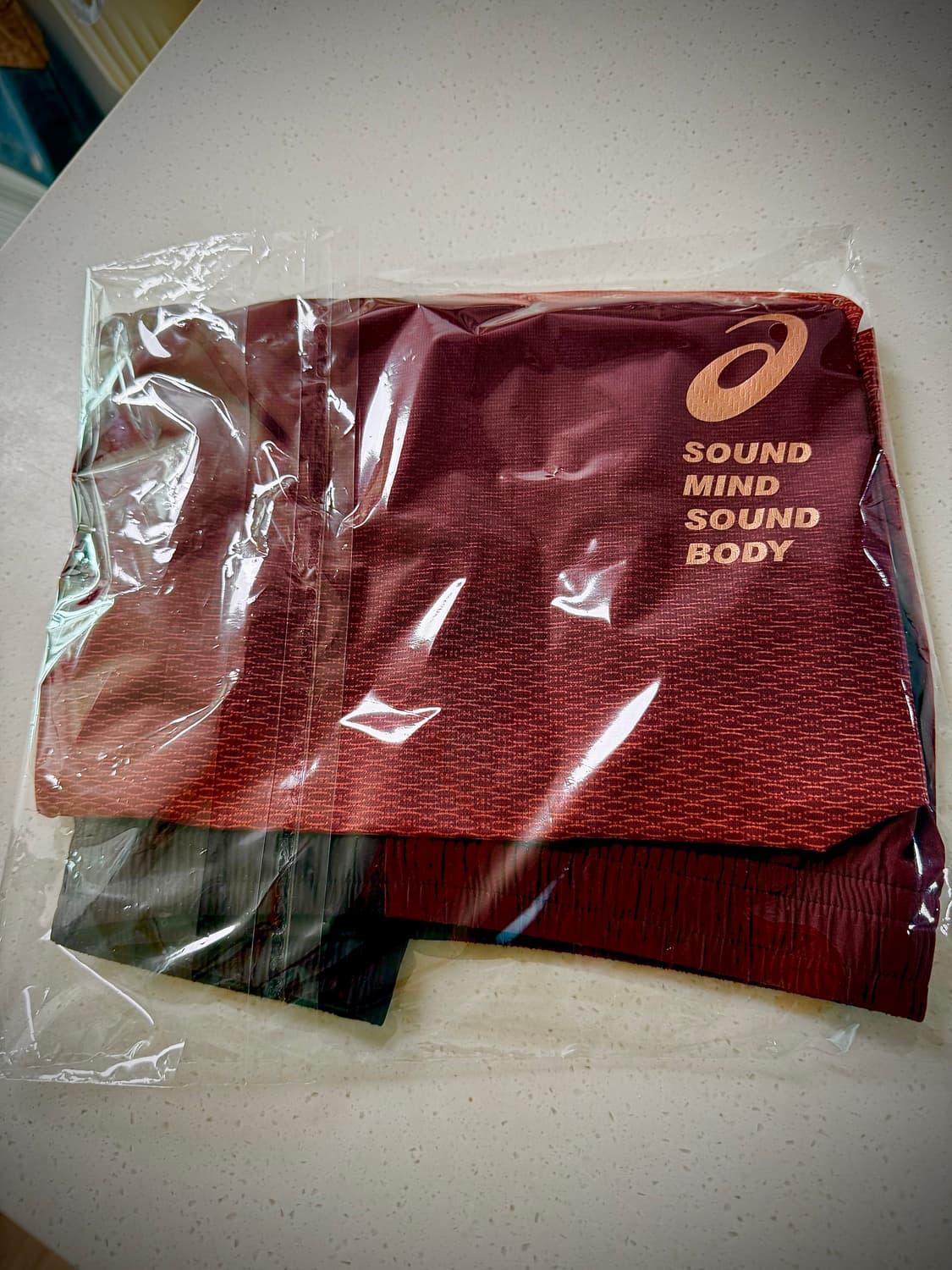 남성 아식스 런닝 셋업 (반팔&하프팬츠, 리미티드 에디션) 상품이미지9