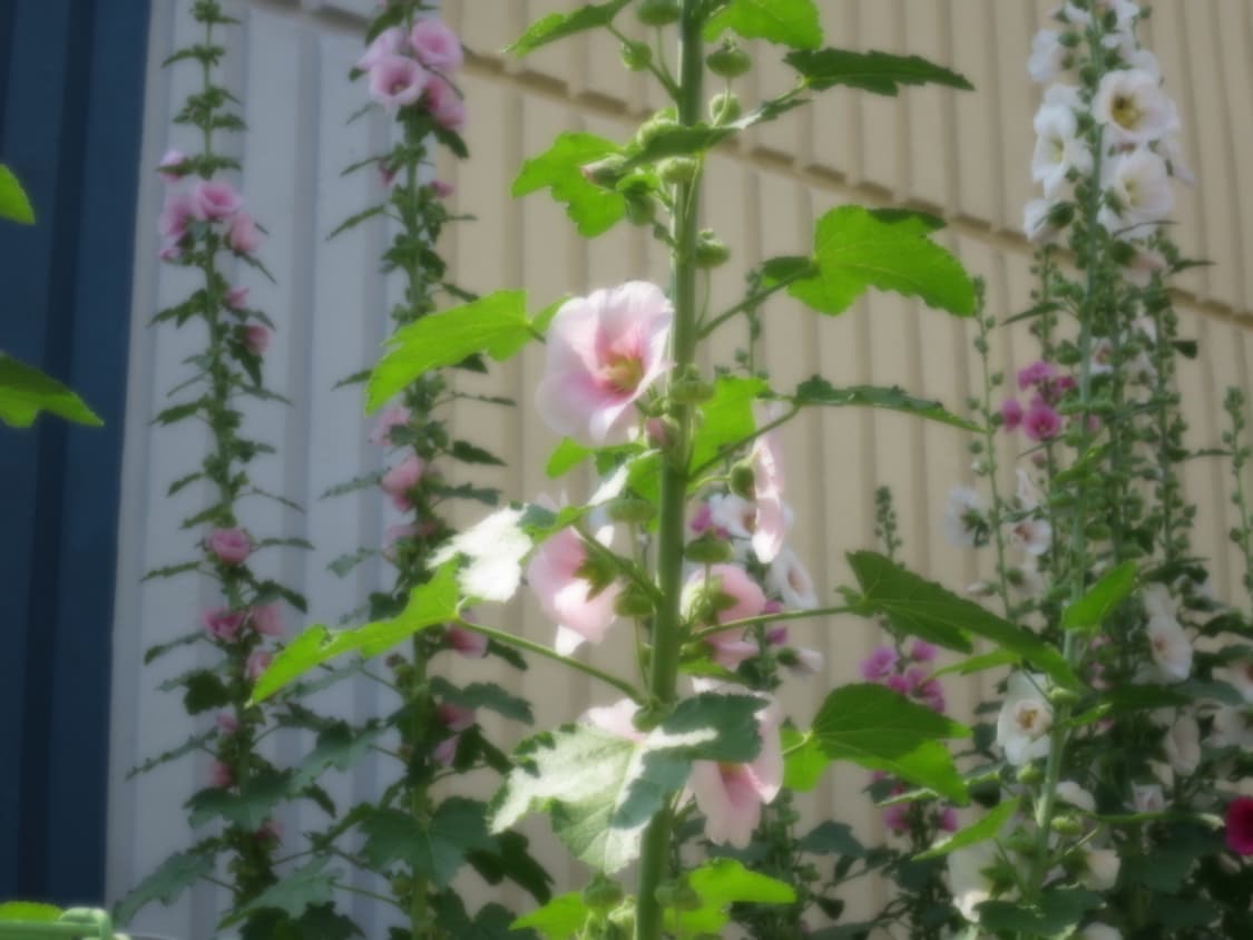 캐논 파워샷 S120 상품이미지6