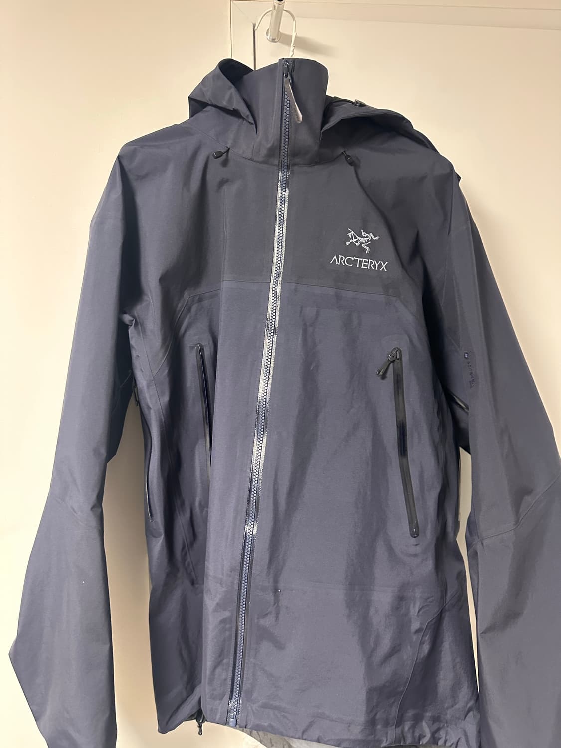 아크테릭스 베타ar L 상품이미지1