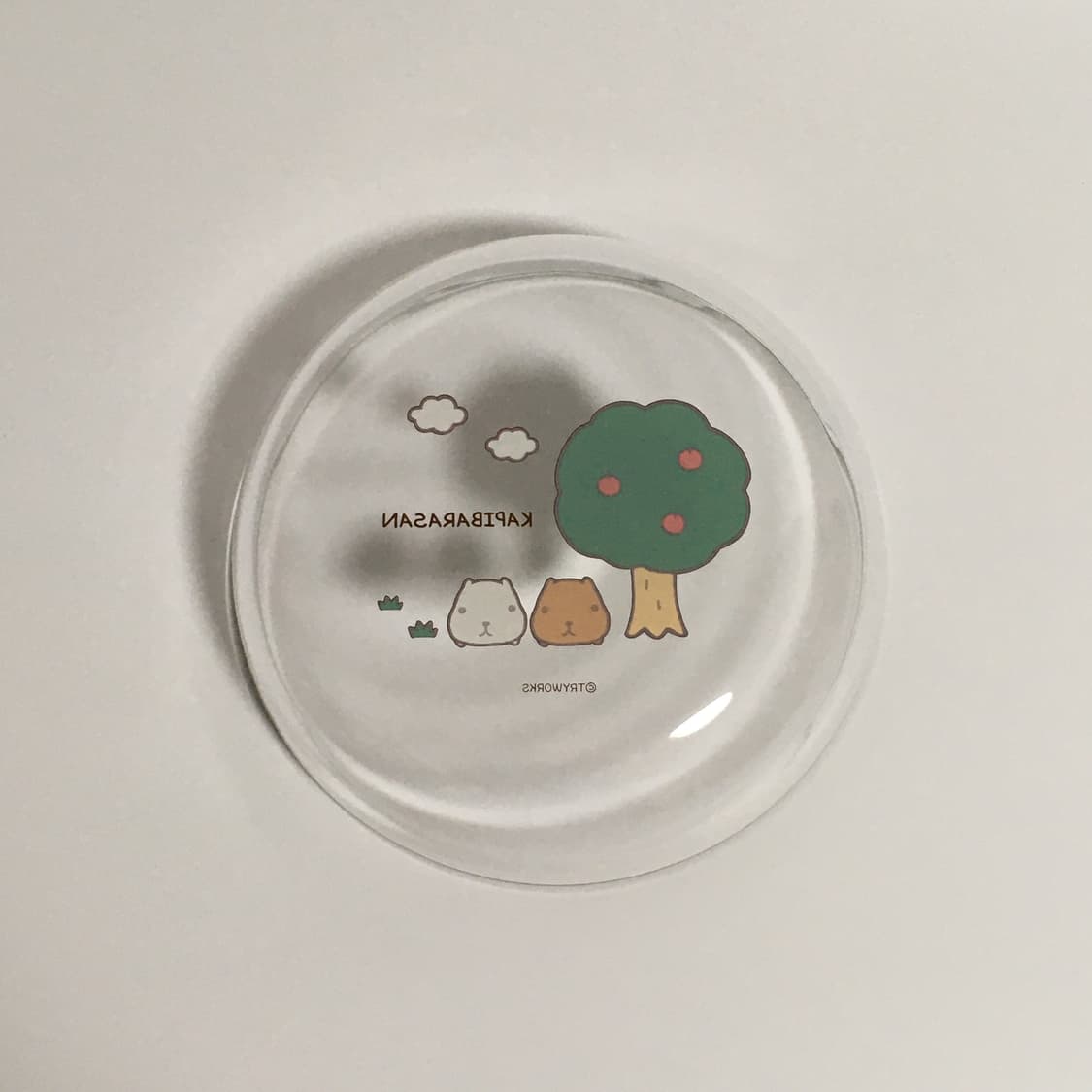 고전 카피바라 접시 상품이미지3