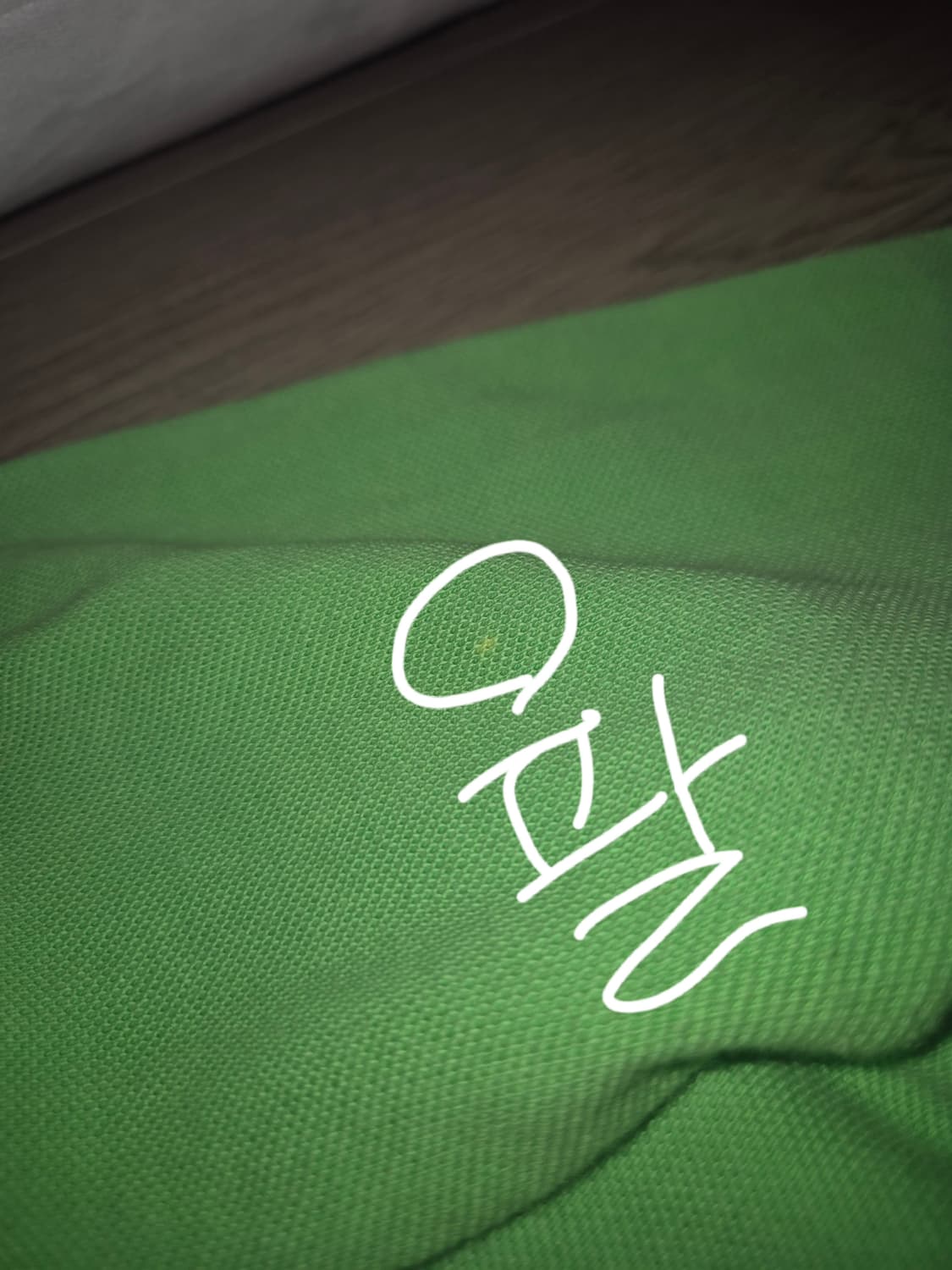 폴로 랄프로렌 초록 봄빛 후드집업 M 상품이미지6