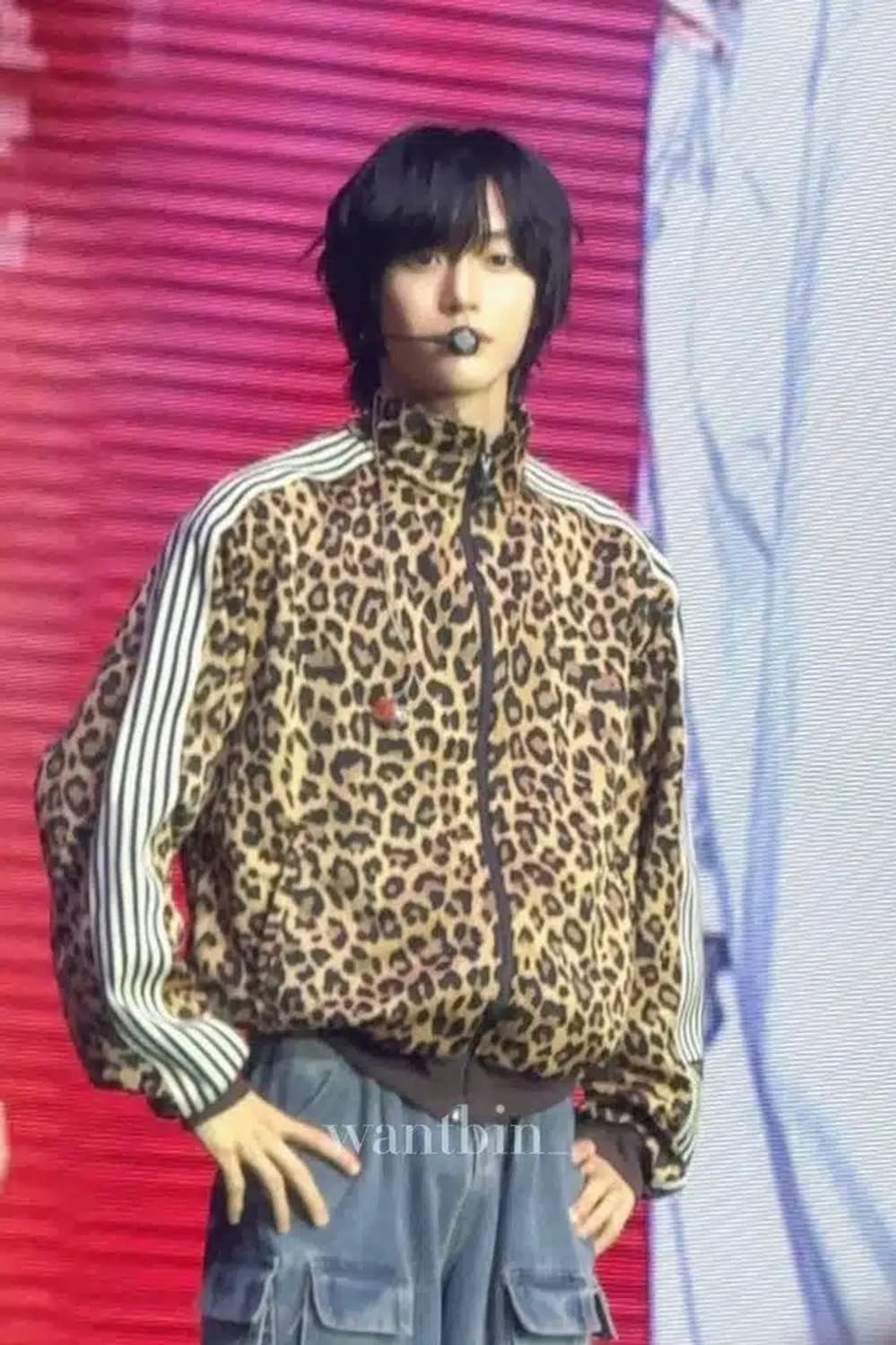 캐피탈 레오파드 스무스 트랙자켓 져지 (원빈착용) 상품이미지3