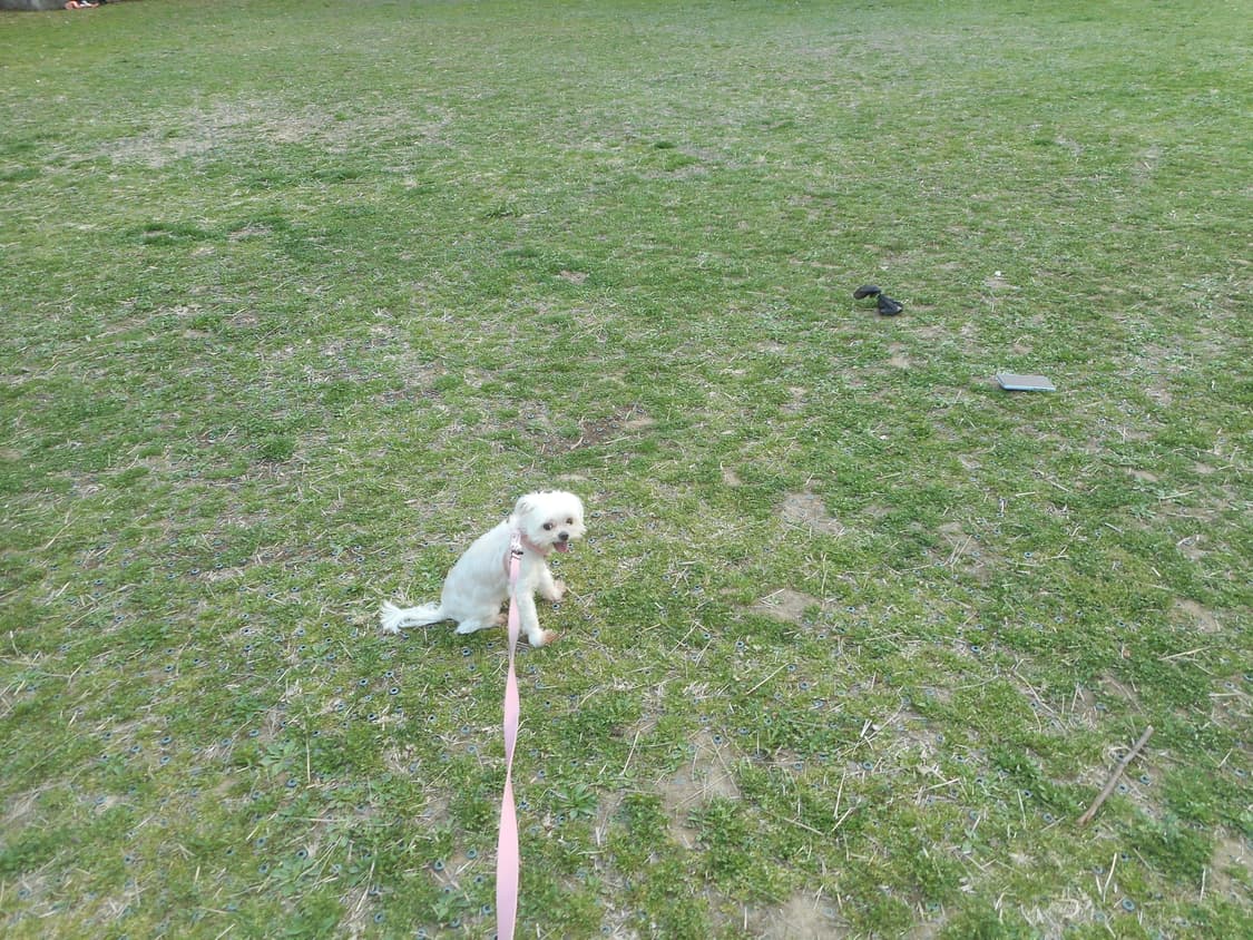 니콘 쿨픽스 s3600 핑크 디지털 카메라 상품이미지8