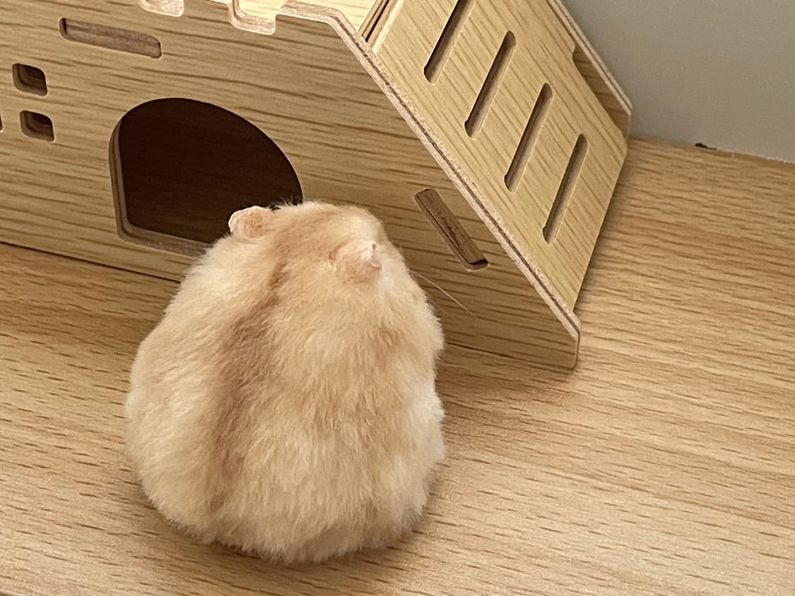 햄스터 실사 인형 (개귀여움) 상품이미지3