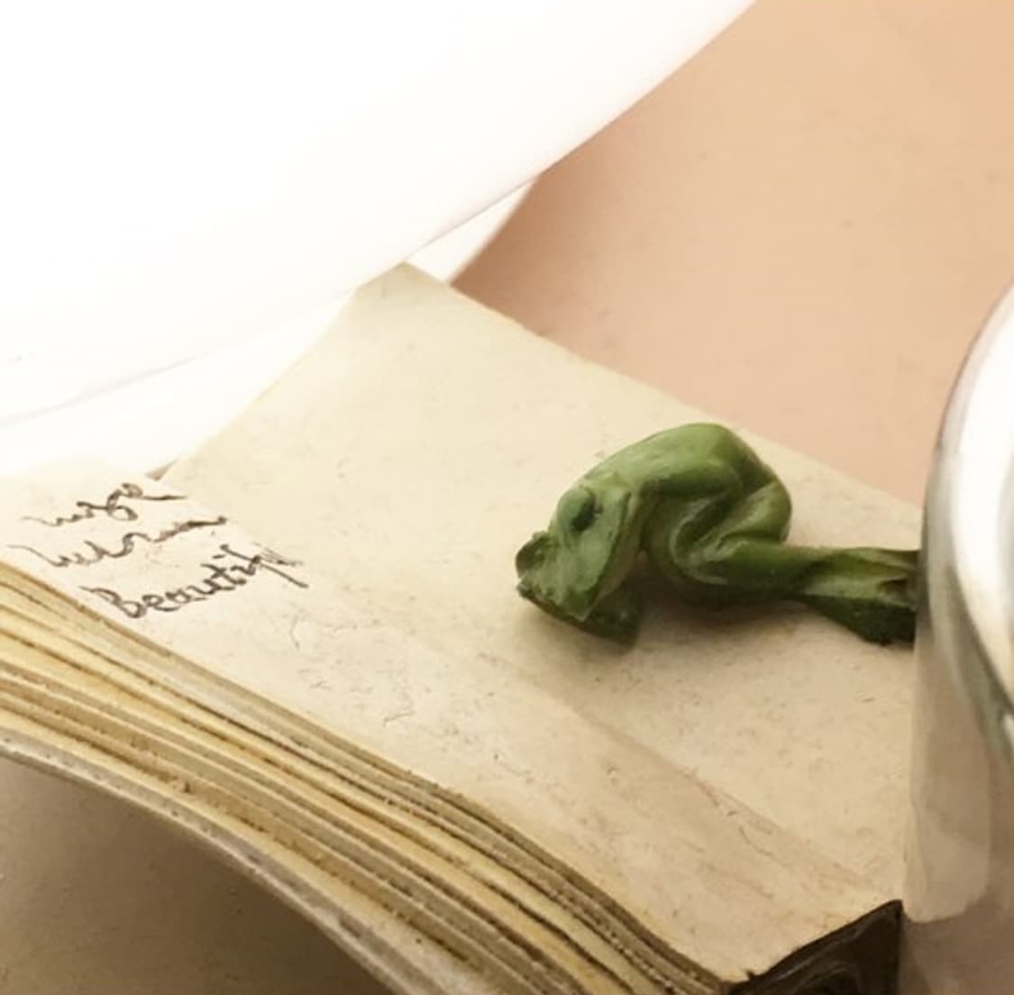 Sleeping Frog Object Tray 상품이미지3