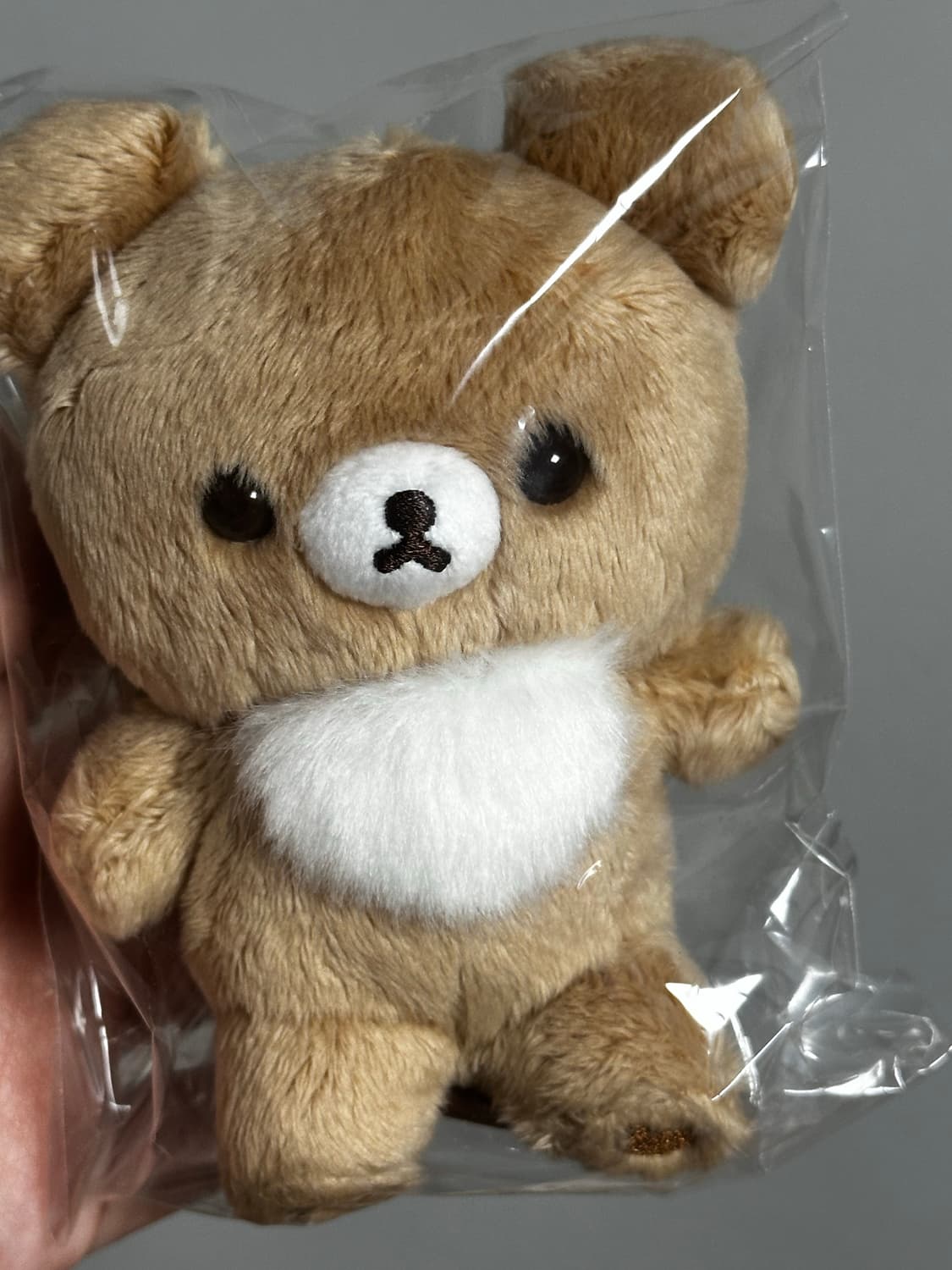 코구마 10주년 5color 리락쿠마 버전 꿀코구마 마스코트 새상품 상품이미지1