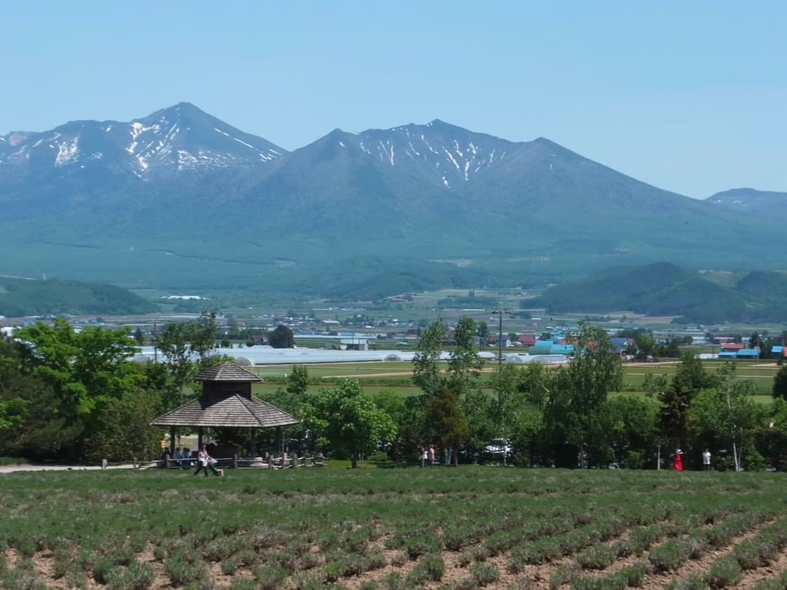 [작례/바로 사용] 올림푸스 TOUGH-6000 디카 상품이미지10