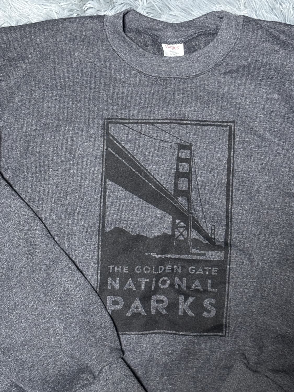 헤인즈 골든 게이트 맨투맨 (체감100) 상품이미지3