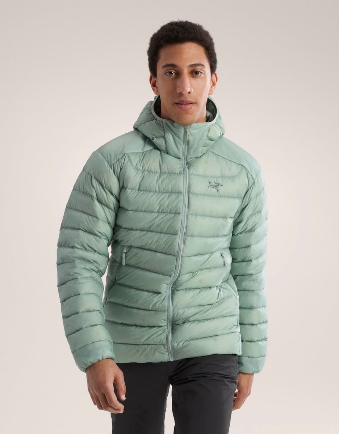 아크테릭스 세륨 스톤그린 s 남성 상품이미지2