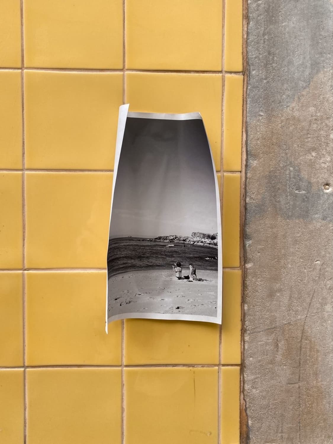 amy님 상품이미지1