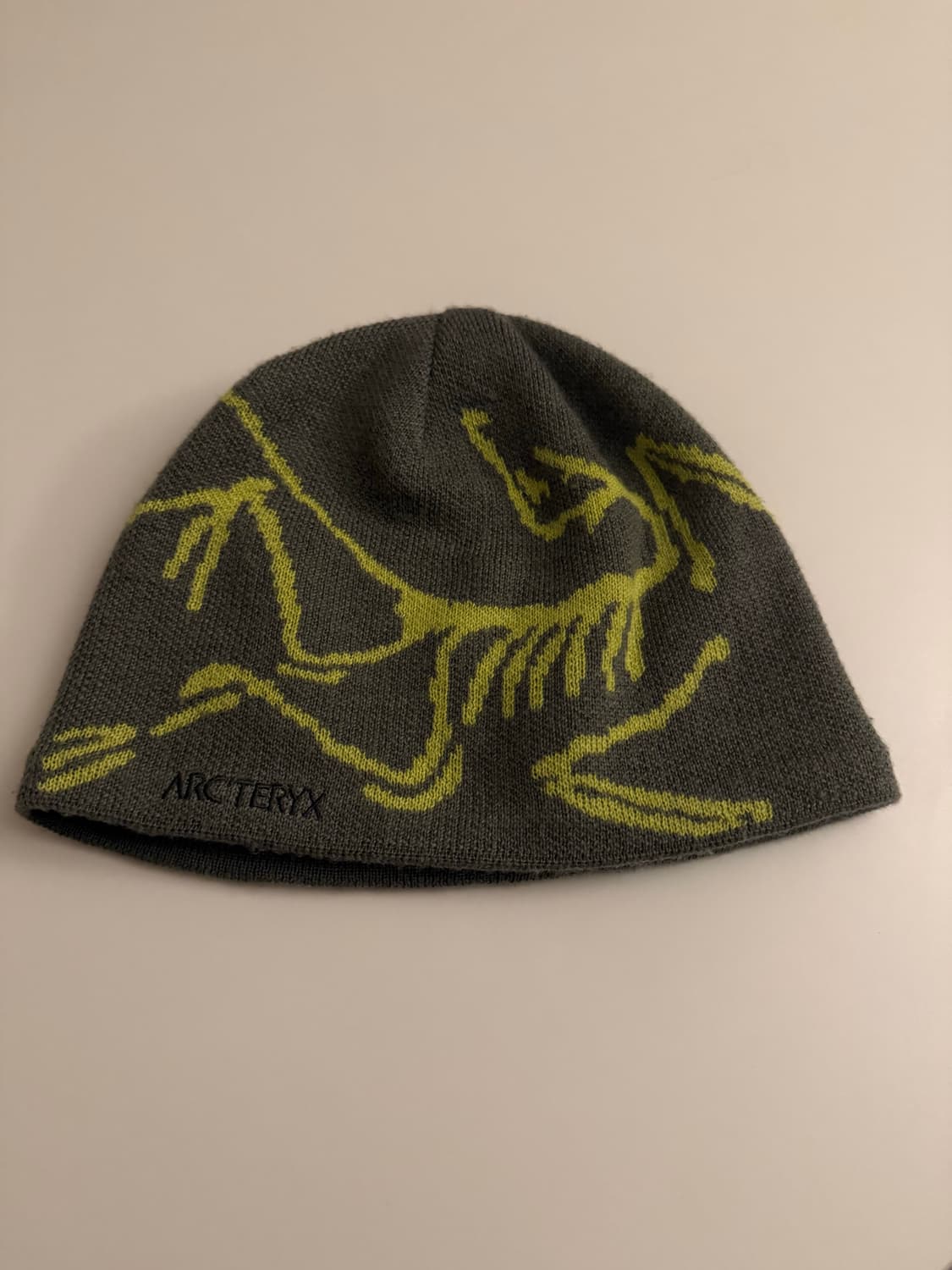 아크테릭스 버드 헤드 토크, 아크테릭스 로 라이트웨이트, 오클리 세션비니 상품이미지5