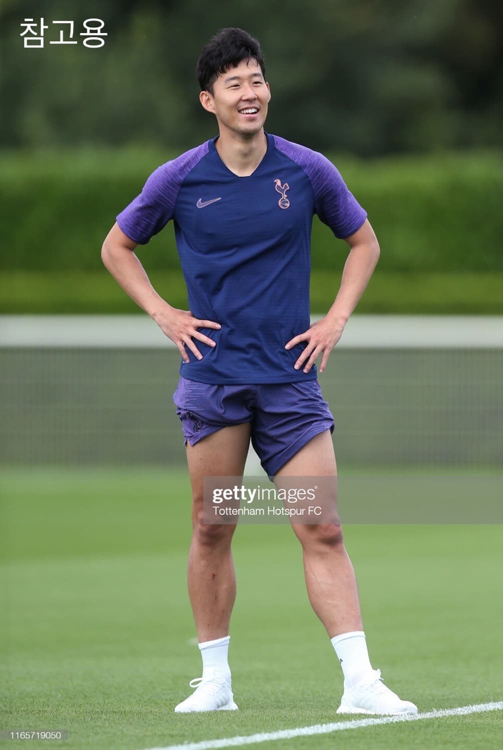 (해외 M) 19-20 토트넘 스트라이크 트레이닝탑 반팔 판매 상품이미지10