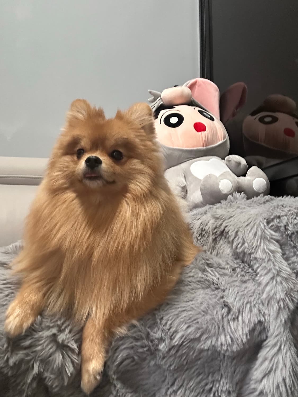 베스티 상품이미지1