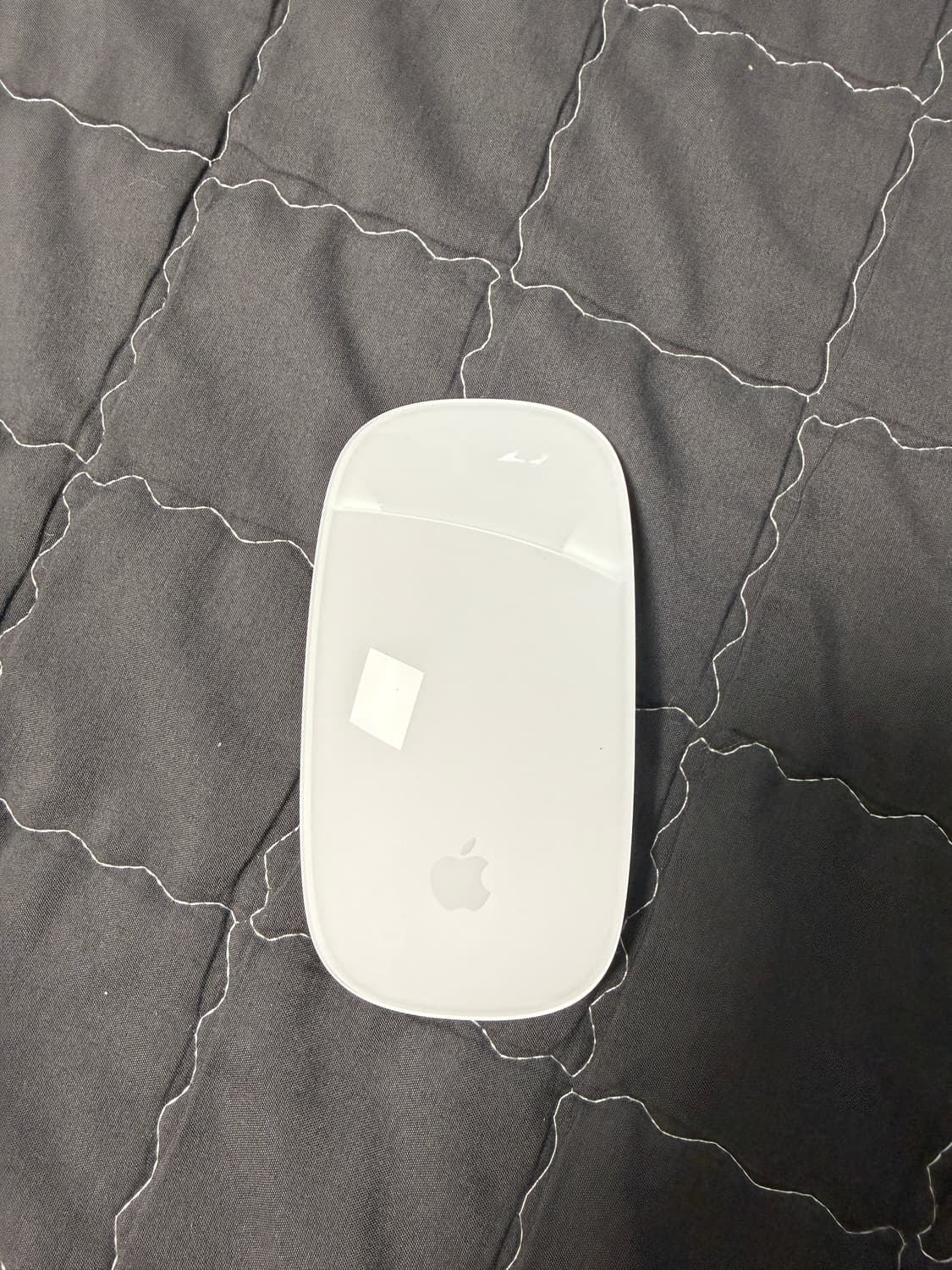 애플 마우스 상품이미지1
