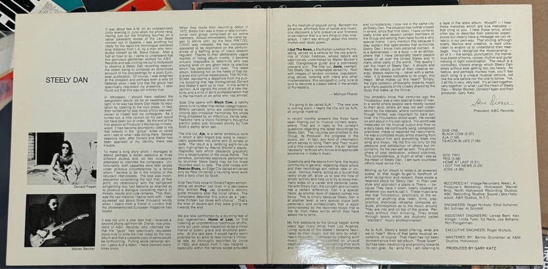 [Rock] Steely Dan (스틸리 댄) LP 판매해요 상품이미지3