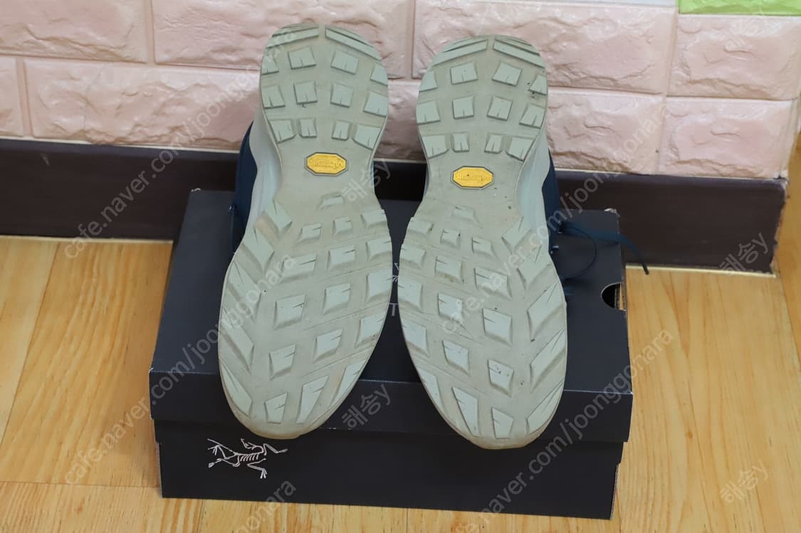 ARCTERYX AERIOS FL 2 Mid GTX (아크테릭스에어리어스 상품이미지4