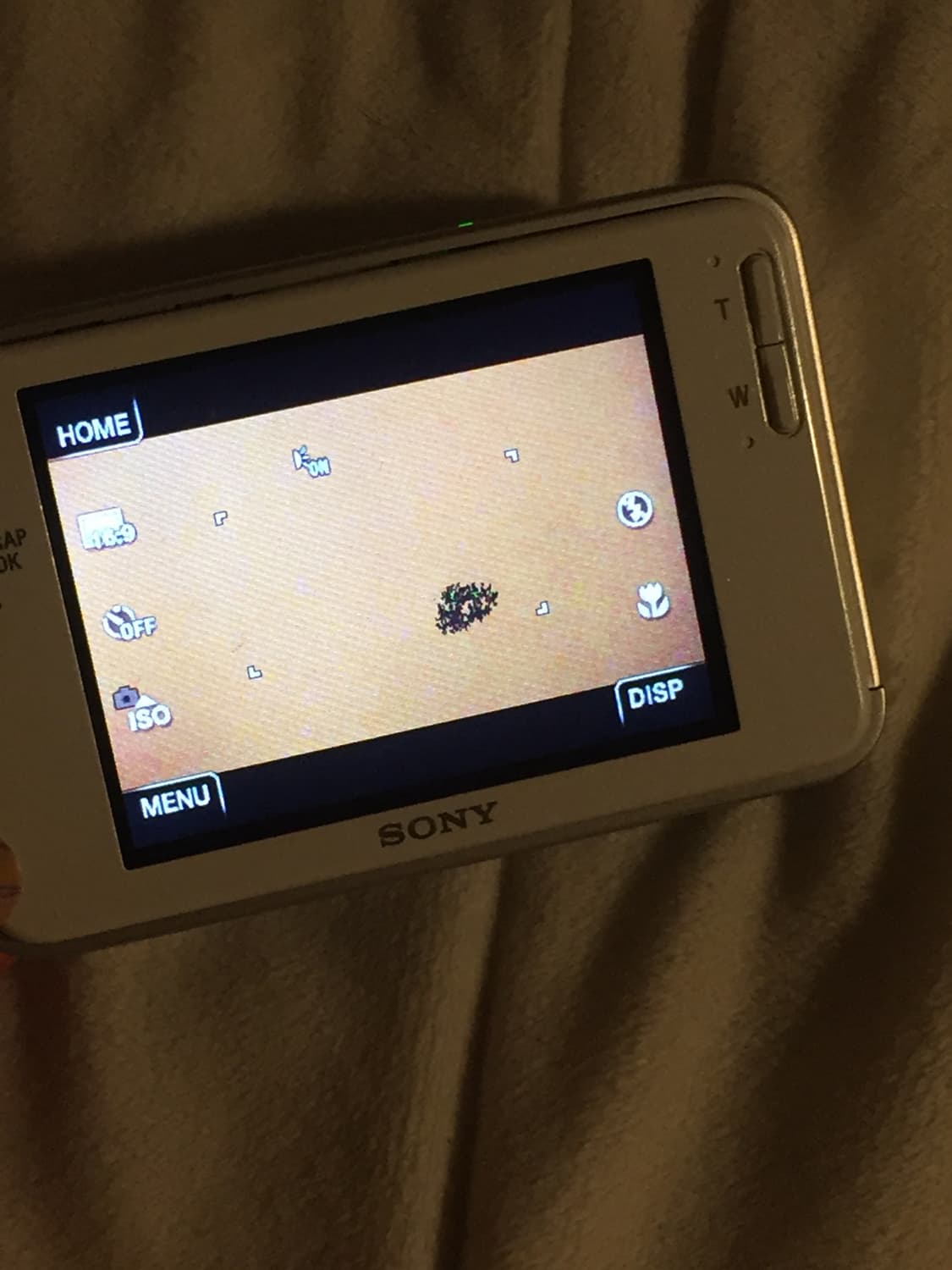 소니 사이버샷 DSC-T2(작례O) 상품이미지3