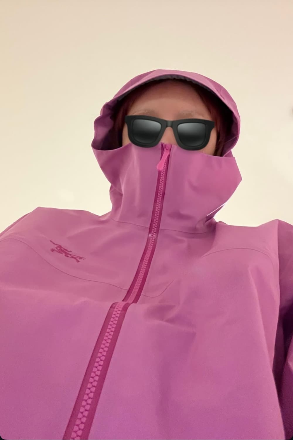 아크테릭스 Arc'teryx Beta SL Jacket 여성 고어텍스 m 상품이미지1