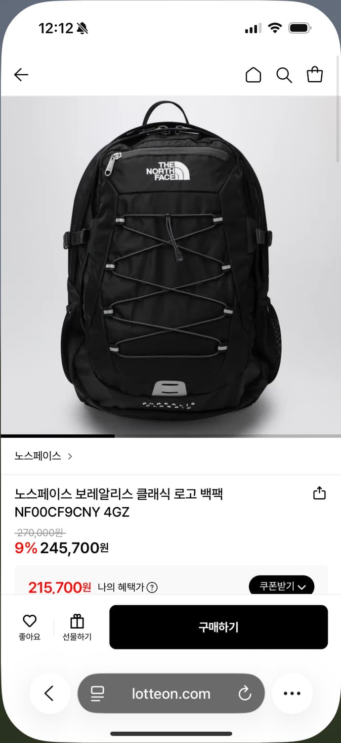 노스페이스 보레알리스 클래식 백팩 상품이미지3