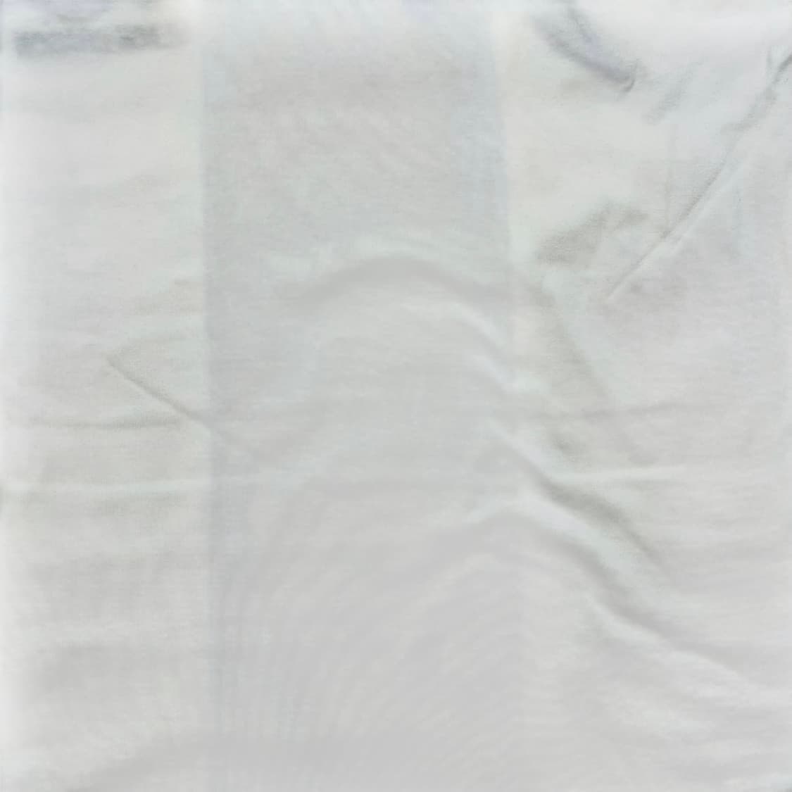 도그 타운 블랙 드래곤 오리엔탈 오버 반팔 티셔츠 상품이미지5