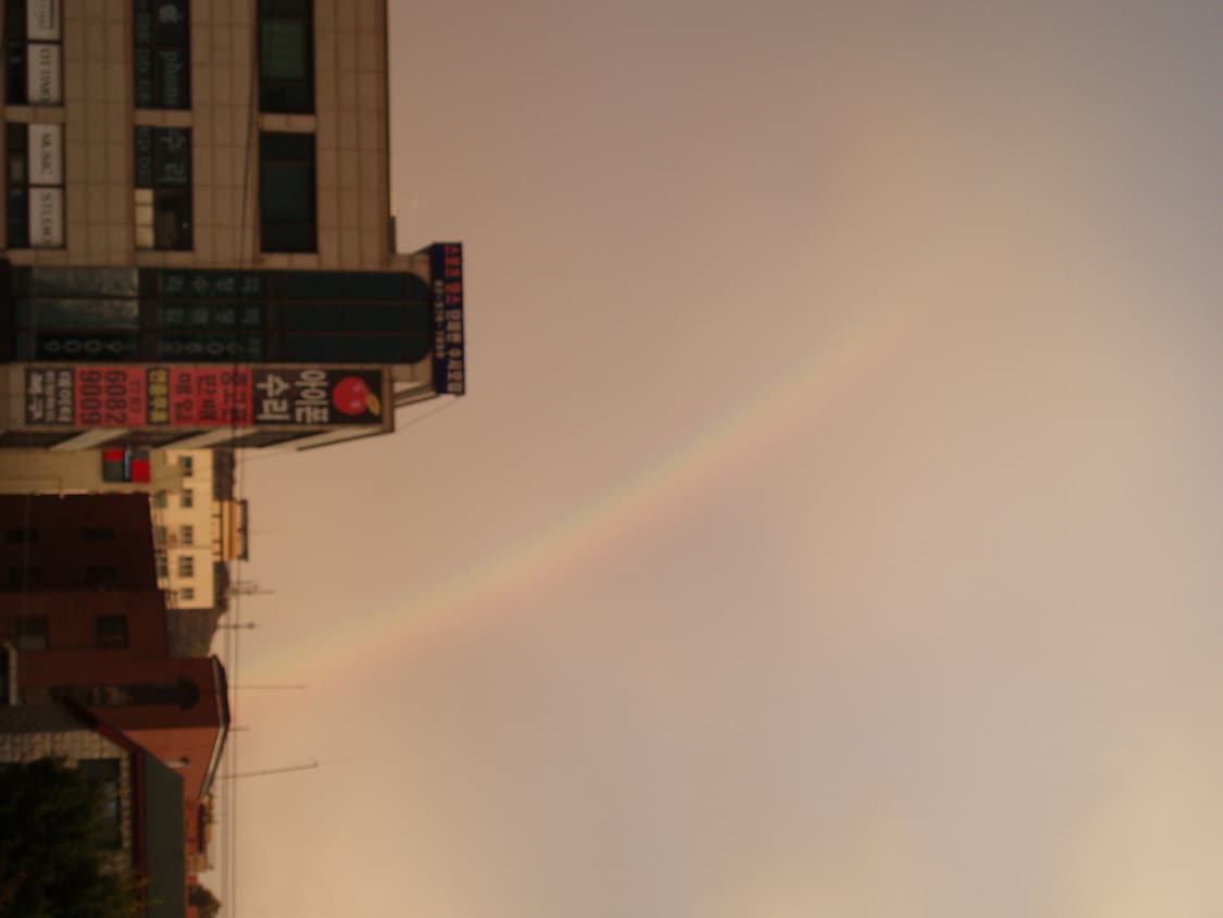 올림푸스 뮤 디지털 (세트) 상품이미지4