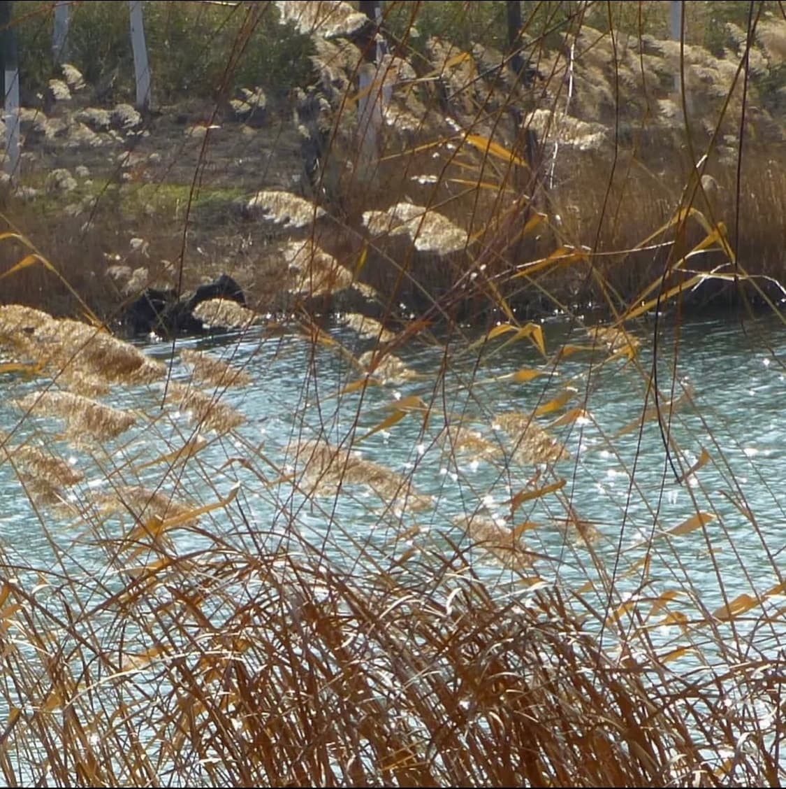 파나소닉 루믹스 Panasonic LUMIX DMC-TZ7 블루 디카 상품이미지6