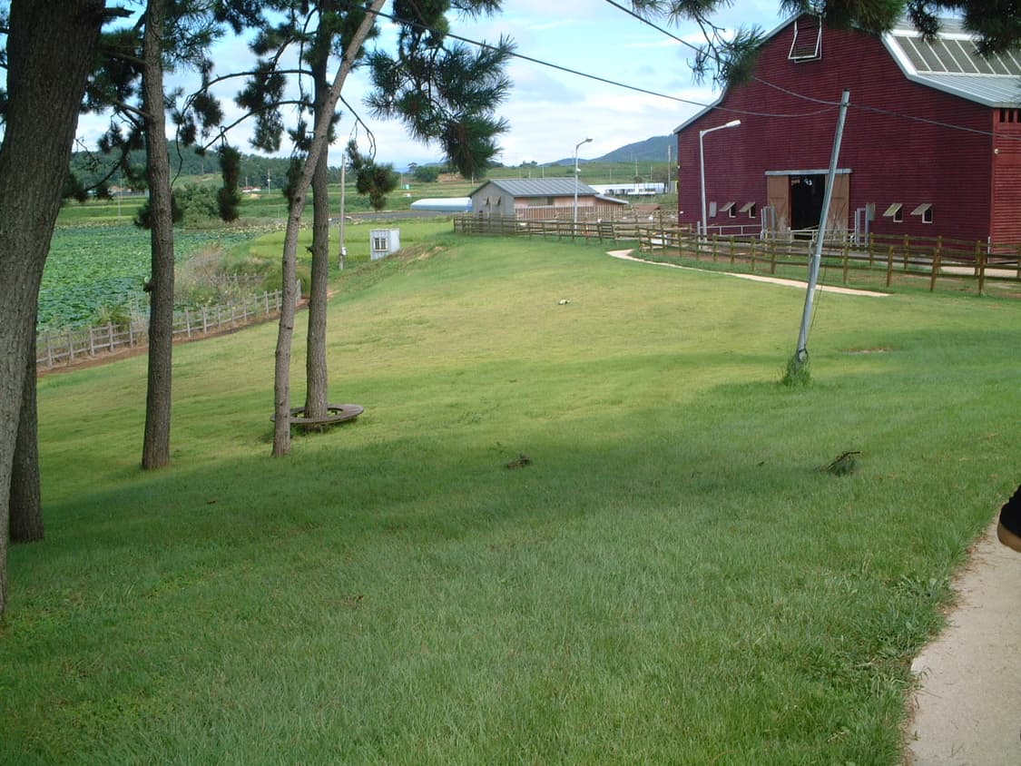 후지필름 파인픽스 50i 판매합니다(작례 참고) 상품이미지8