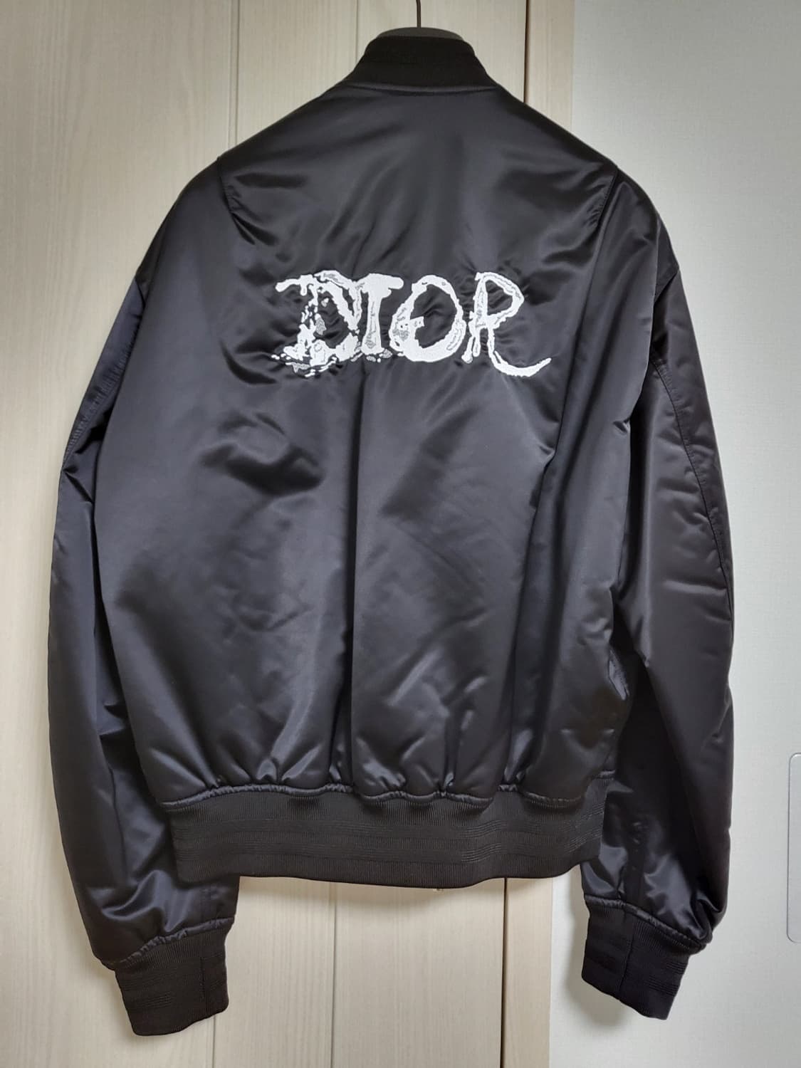 디올 X 피터도이그 콜라보 봄버자켓 상품이미지4