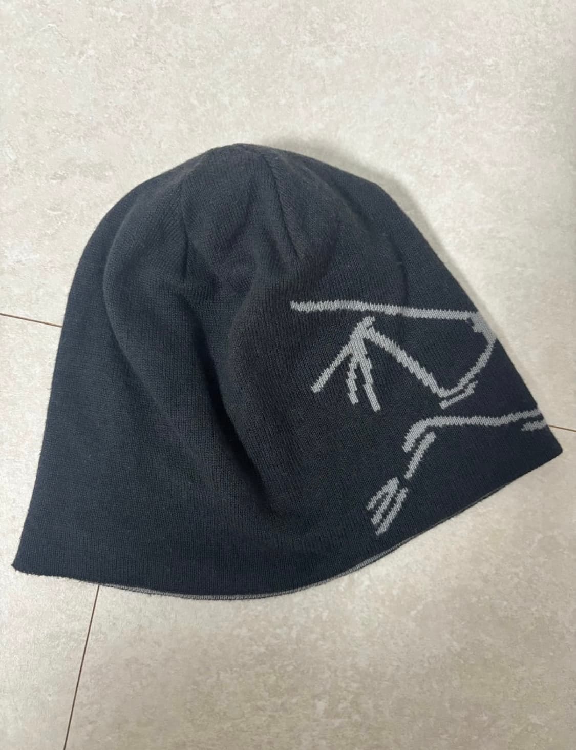 아크테릭스 비니 상품이미지2