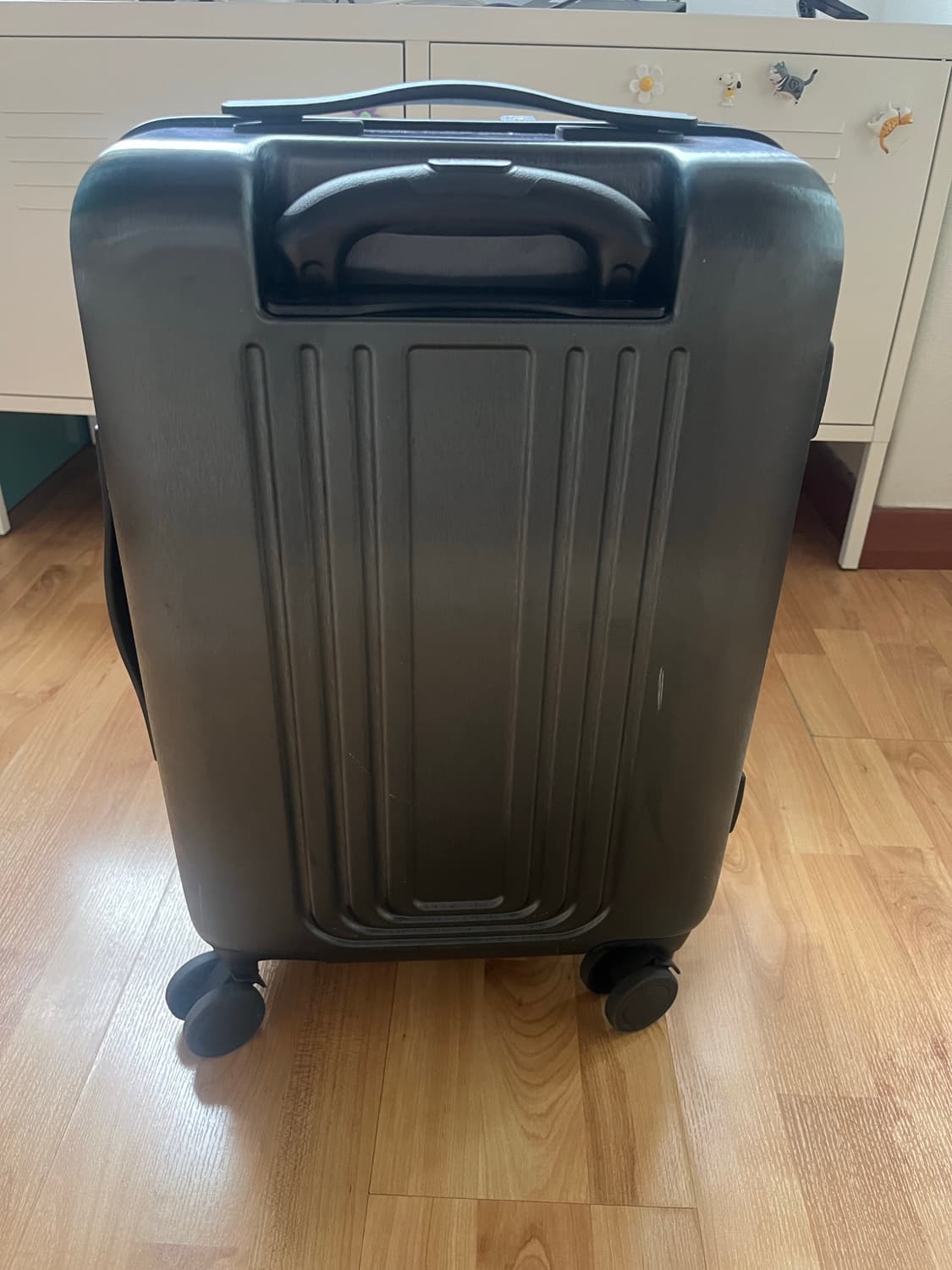 네셔널지오그래픽 기내용 캐리어 상품이미지2