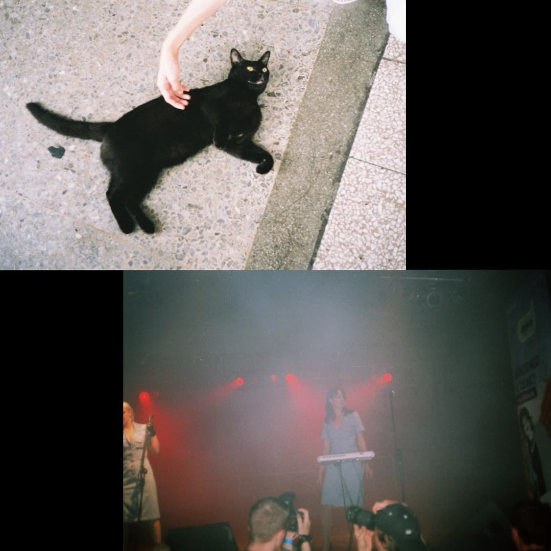 매우레어한 필름카메라 치논 벨라미af (작례0) 상품이미지3