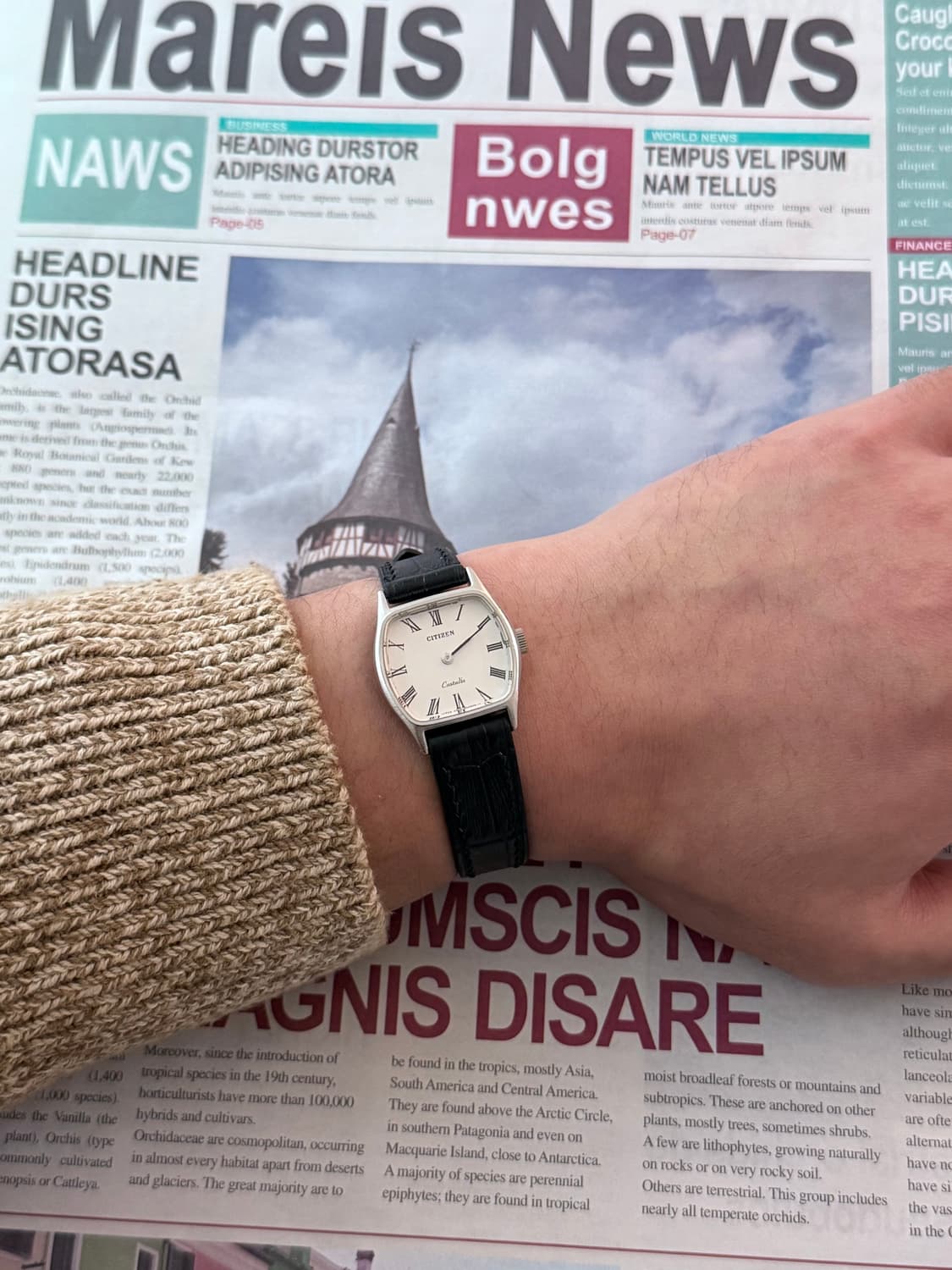 Citizen 시티즌 Castalia 로만 인덱스 상품이미지5